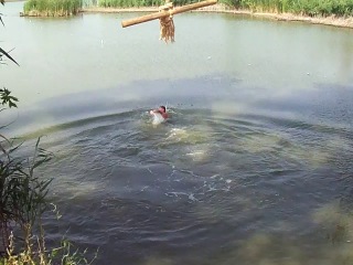 неудачный прыжок в воду